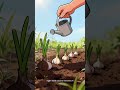Grow Garlic at Home 🌱 Easy Method for Beginners (Big Harvest!) #shorts #gardening