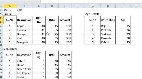 How to make the text Bold in excel with shortcut