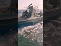 OCEARCH X COSTA X YETI Have Been Protecting Whats Out There For 2 Decades OCEARCH X COSTA X YETI Have Been Protecting Whats Out There For 2 Decades