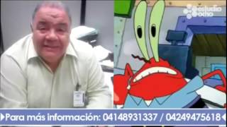 la voz de don cangrejo y stan lee en history channel