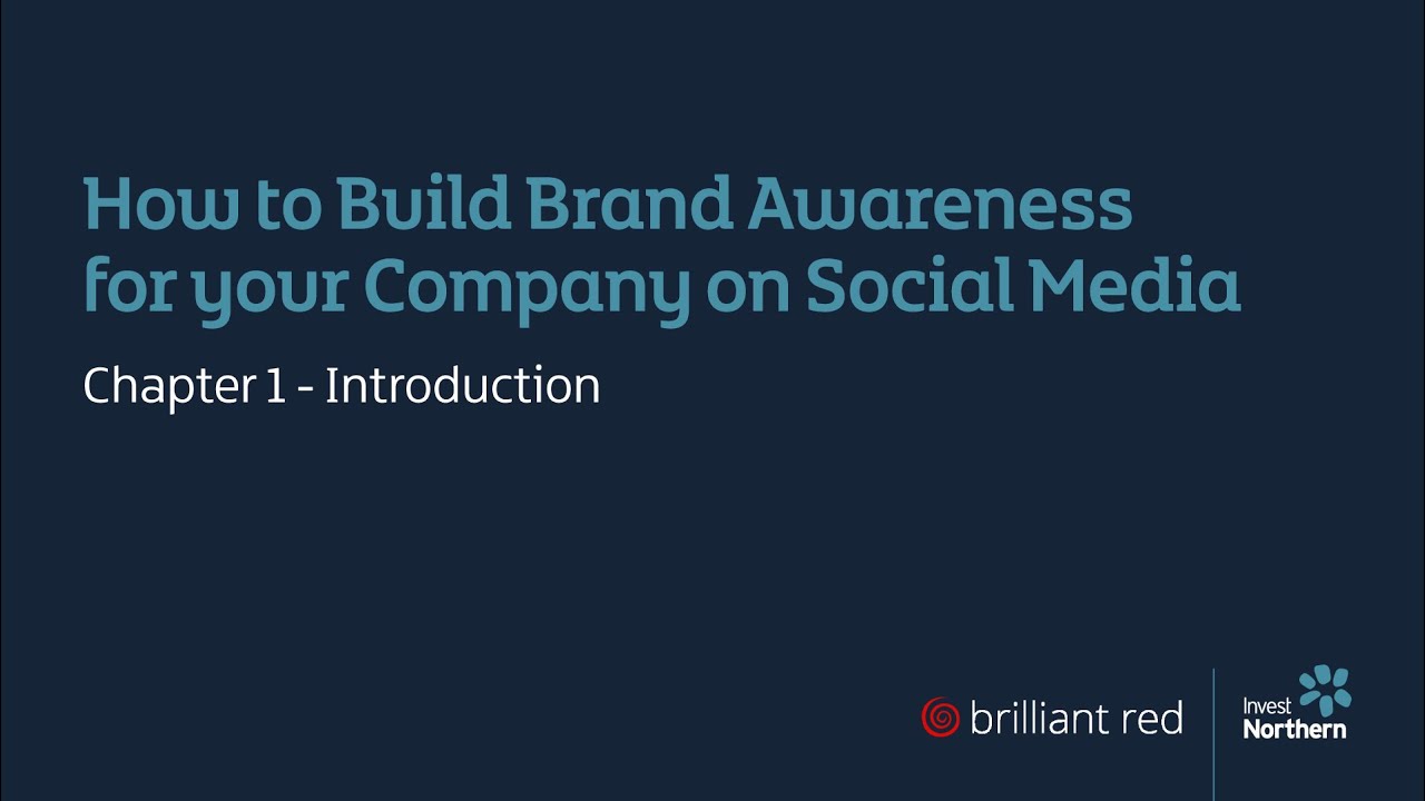 How to build brand awareness for your company on social media (Chapter ...