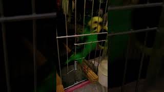 Sevgilim Çok Güzelsin Dedikten Sonra Ben😂 Resimi