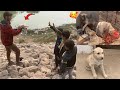 Puppy ko Uss Ki Family Ky Pass Chor Ay💔|| Puppy Or Shizuka Ki Fight Ho Gai😱