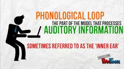 The working memory model