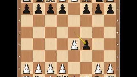 Chess Openings- The King
