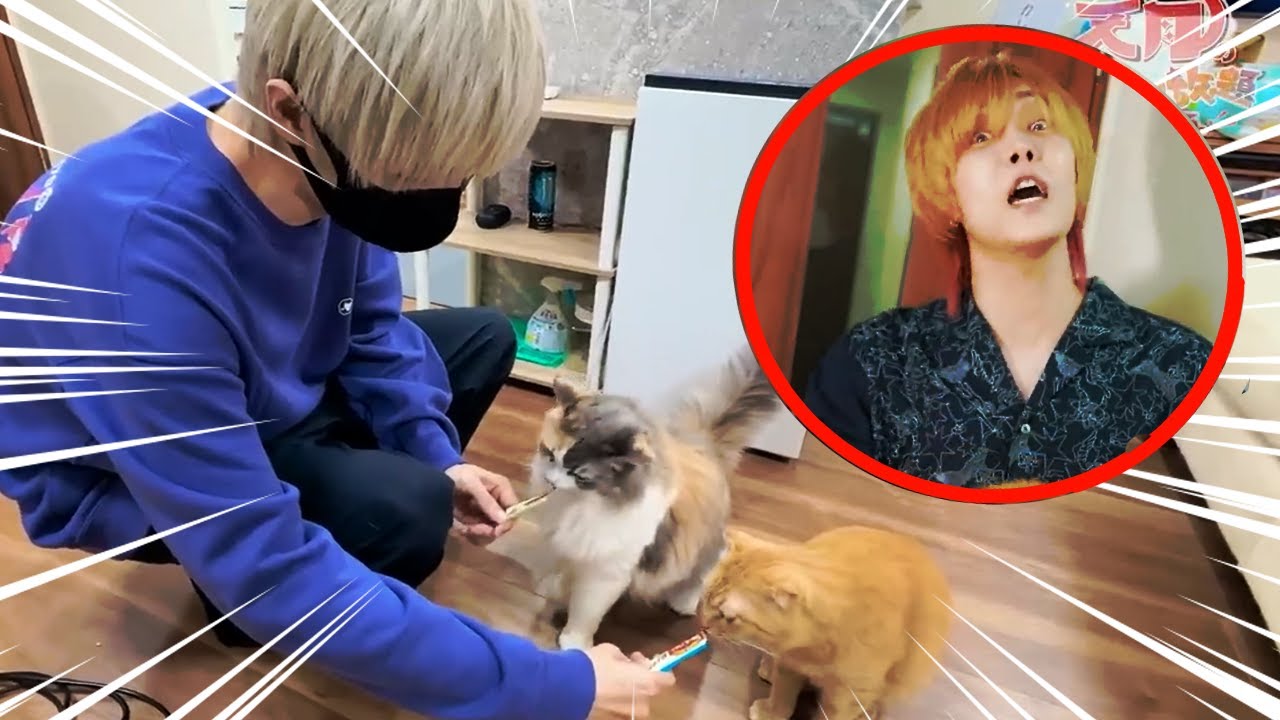 【PART 1】Le hice RAMEN CASERO a MAFUMAFU, mientras JUEGA con los GATOS