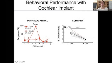 Talk: Neuromodulation enhances plasticity in a rat model of cochlear implant use