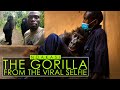 Remembering Ndakasi | The Gorilla From The Viral Selfie | Virunga National Park