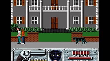 Wild Streets - Amstrad GX4000 [MESS] [shortplay]