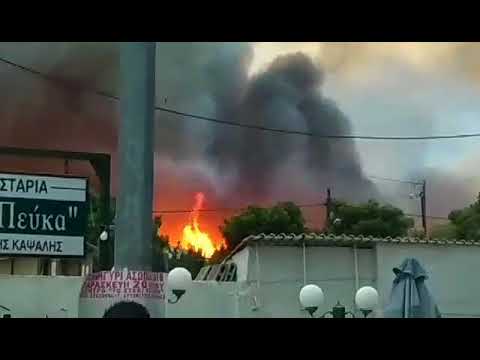 ტყის ხანძარმა საბერძნეთში ადამიანების სიცოცხლე შეიწირა - 2018 წლის 24 ივლისი