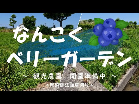 なんこくベリーガーデン（はせがわ農園）の紹介動画サムネイル