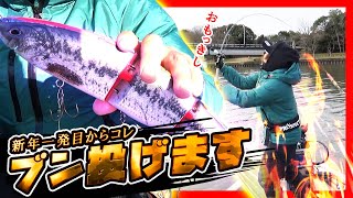 【バス釣り】2020年 新年一発目からビッグベイトをブン投げまくった結果・・・