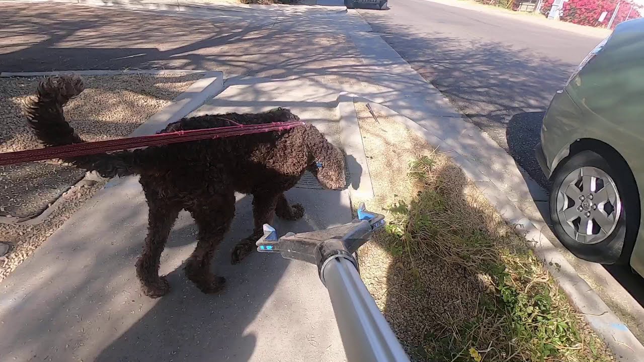 [1] Trash Clean Up in Camelback East
