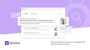 SEOAnt‑ All-in-one SEO Tools for Shopify