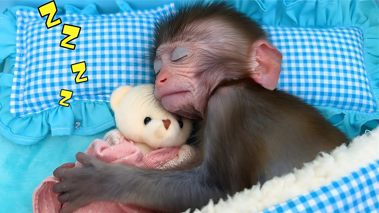 monkey-bon-bon-s-relaxing-sleep-time-after-work-nursery-rhymes-kids