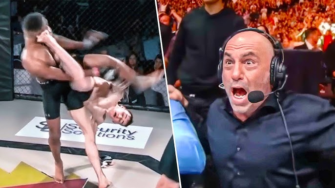 A Striking Genius... The Most Unpredictable Knockouts! - YouTube