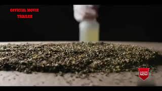 The Business Of Drugs