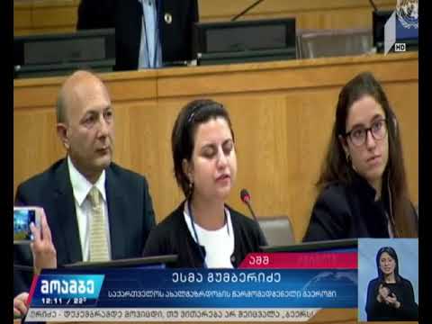 გაერო-ში საქართველოს წარმომადგენელი ესმა გუმბერიძე სიტყვით გამოვიდა