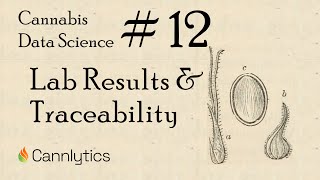 Lab Results and Traceability | Cannabis Data Science Episode 12