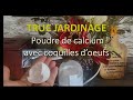 TRUC JARDINAGE- POUDRE DE CALCIUM AVEC COQUILLES D