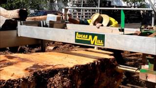Heritage Tree Care Lucas Milling a Huon Pine Brisbane