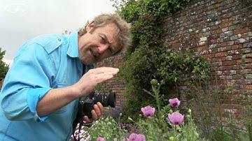 Macro Photography Tips Part 1