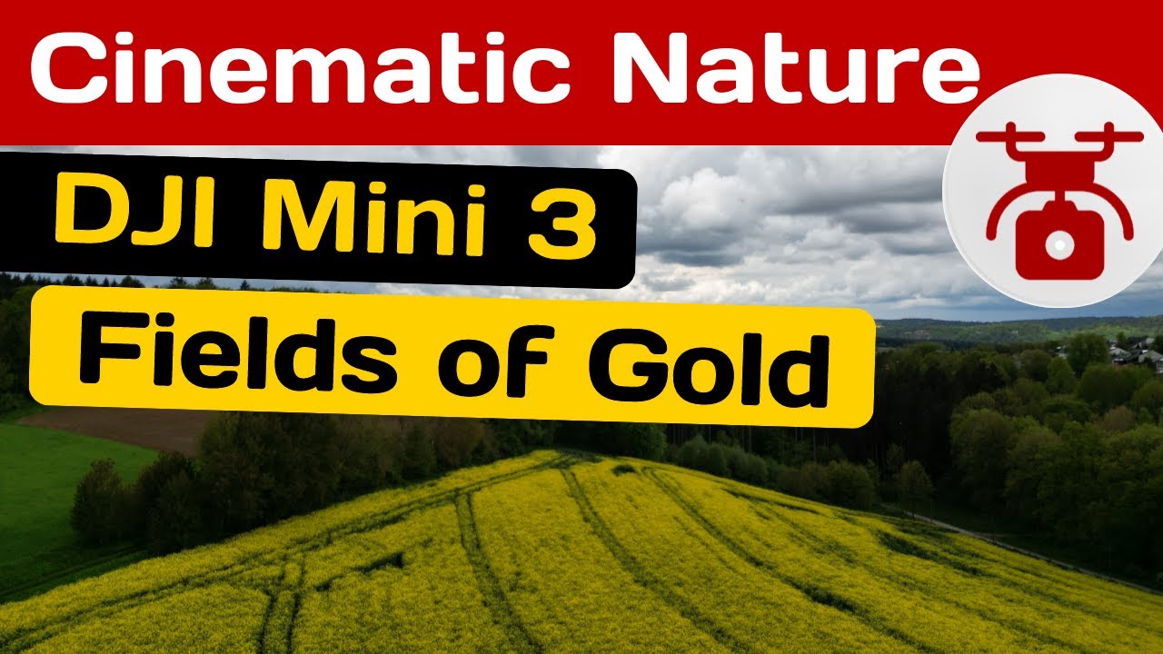 Fields of Gold DJI Mini 3 Pro Cinematic Drone Shots