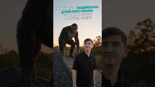 Маркетинговый кейс: Крыша vs Кинг-Конг #маркетинг #реклама #бренды #маркетолог #digitalмаркетинг