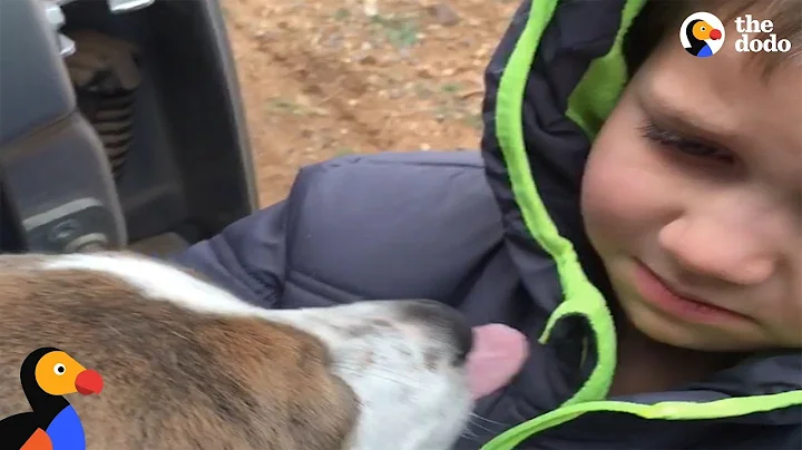 Boy Reuniting With Lost Dog Bursts Into Tears | The Dodo