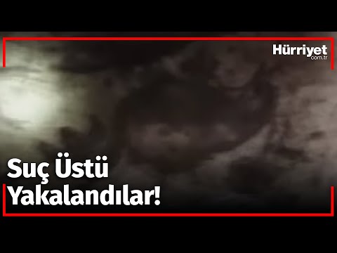 Tarsus'taki Kaçak Kazıyı Sürdüren 7 Kişiye Polis Baskını!