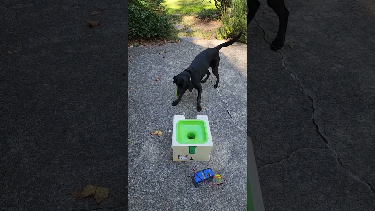 iDog tennis ball launcher working using relay logic