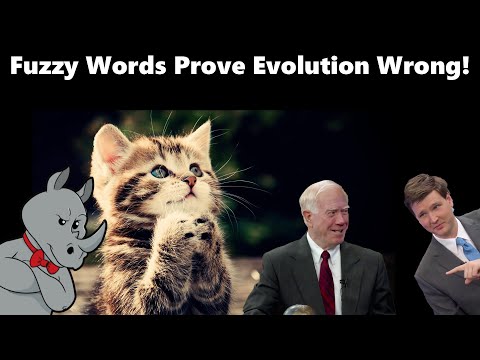 Video: The word 