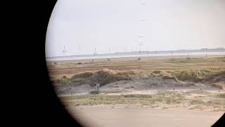 F16s engaging targets with 2 GBU-12 inerts