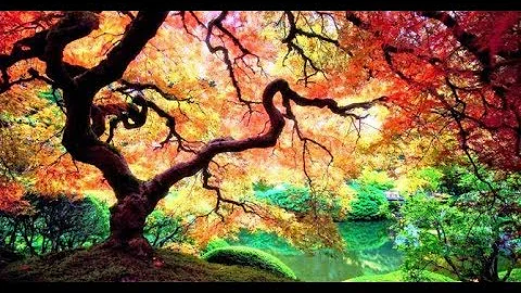 The TREE of KNOWLEDGE- Alvin Boyd Kuhn