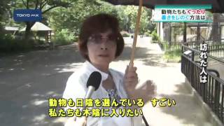 きょうも暑かった！　動物も涼感じる