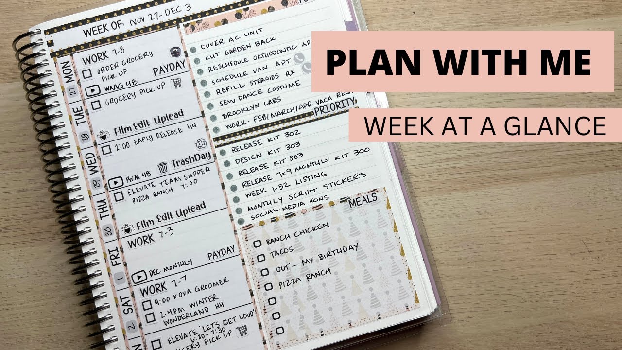 PLAN WITH ME | DAILY DUO | ERIN CONDREN PLAN WITH ME | EC WEEK AT A ...
