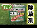 【芝生復活・TM9＋西洋芝】424日目　除草剤「シバキーププラスV」初めて使います！