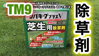【芝生復活・TM9＋西洋芝】424日目　除草剤「シバキーププラスV」初めて使います！