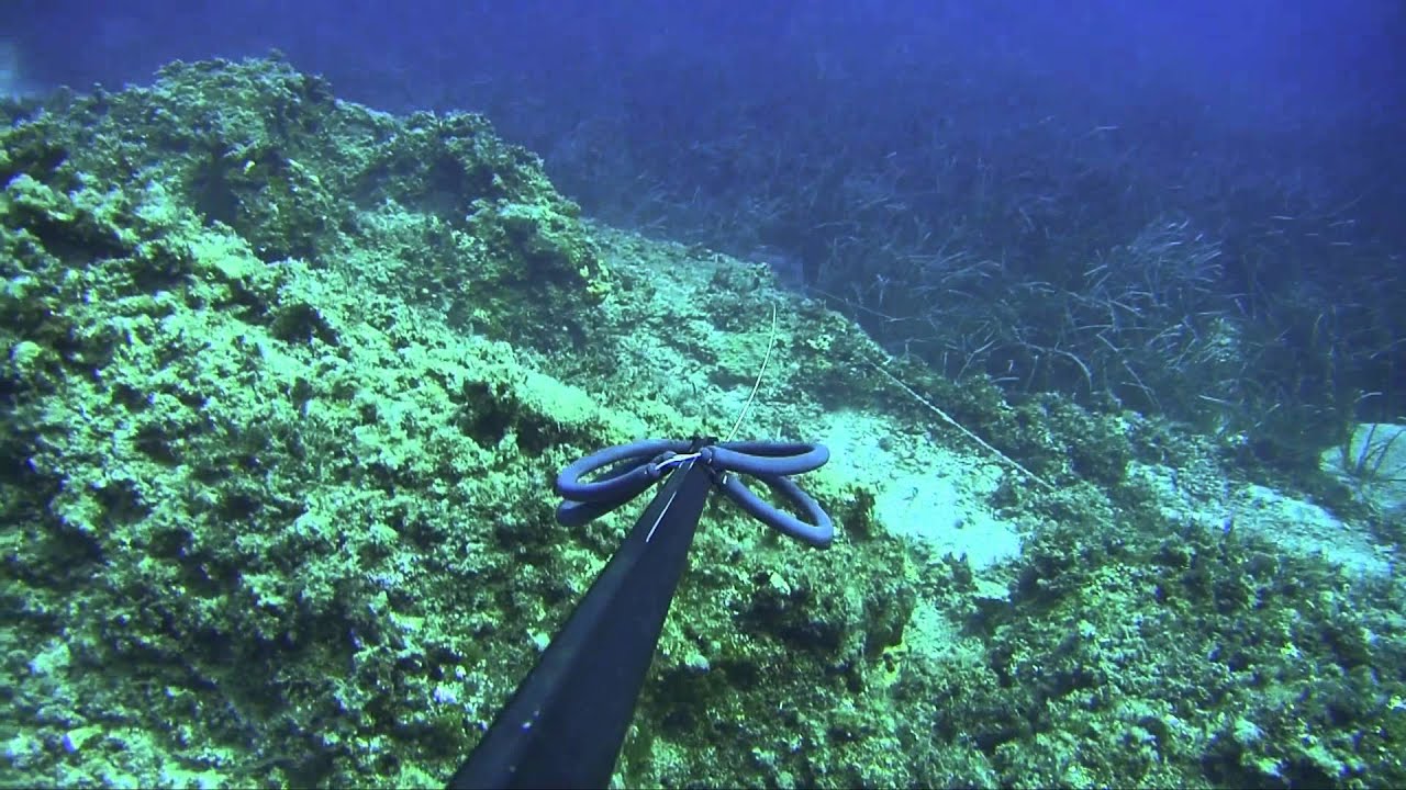 Underwater Camera YouTube