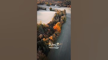 ٱلَّذِينَ ءَامَنُواْ وَتَطۡمَئِنُّ قُلُوبُهُم بِذِكۡرِ ٱللَّهِۗ..|| تلاوة من سورة الرعد/#موسى_المزعل