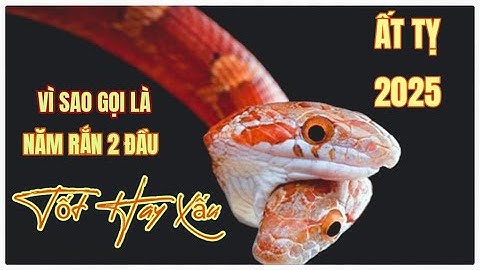 BÍ ẨN NĂM 2025 LÀ NĂM RẮN 2 ĐẦU | NĂM RẮN 2 ĐẦU SẼ ẢNH HƯỞNG ĐẾN CHÚNG TA RA SAO || DL Đó Đây