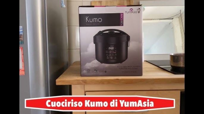 Yum Asia Kumo Rice Cooker - HonestNYC