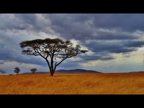 Magnom - Big Big Plans [Audio]