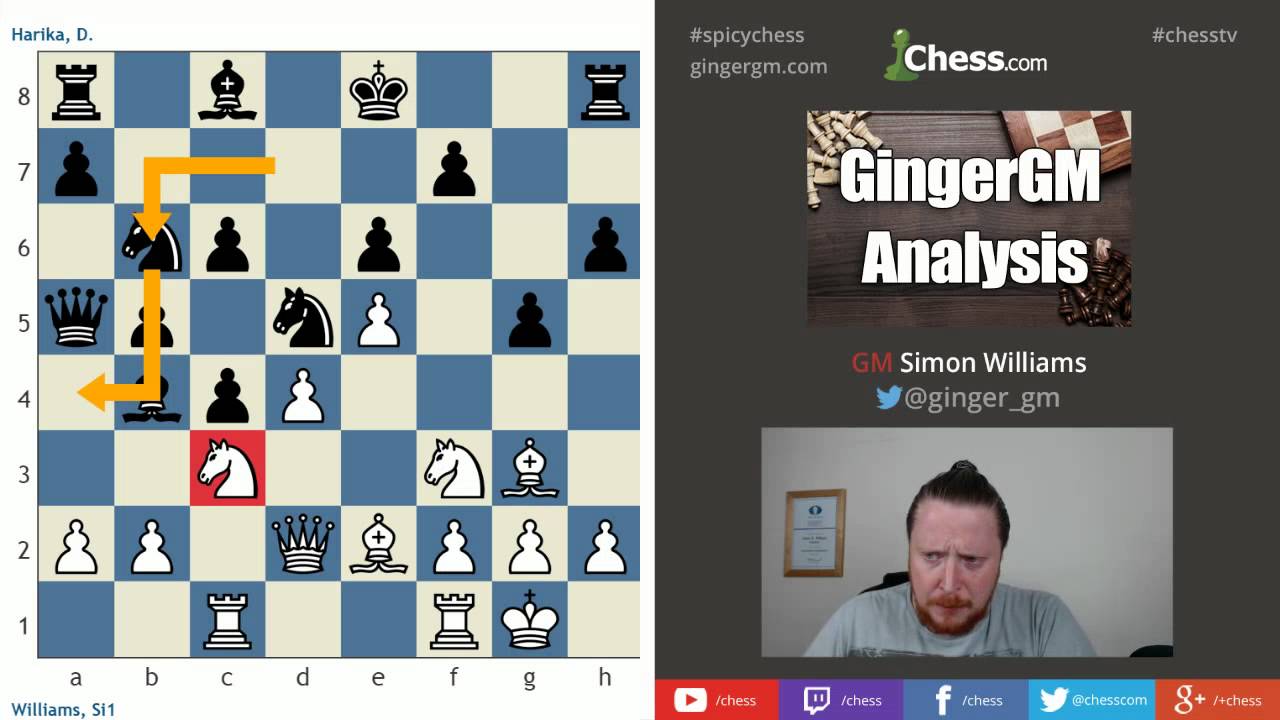 Chess.com on X: need a nudge to try a new opening? we got you