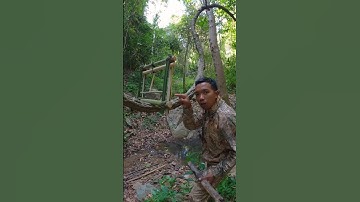 Squirrel trap most effective #alanhtrapper #trap #bushcraft