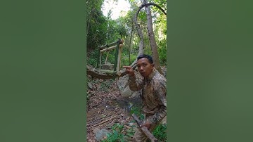 Squirrel trap most effective #alanhoutdoors #trap #bushcraft