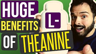 5 Major Benefits of L-Theanine Why You Should Take it Daily