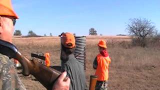 MOV182.MOD