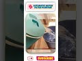 Dm Us 🔔Automatic Water Filter Fountain How to Use❓ ( # 967)