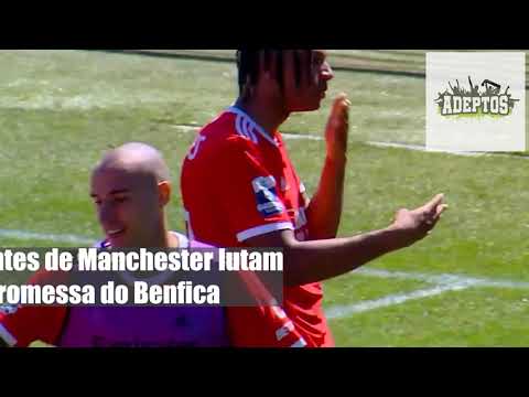 Gigantes de Manchester lutam por promessa do Benfica